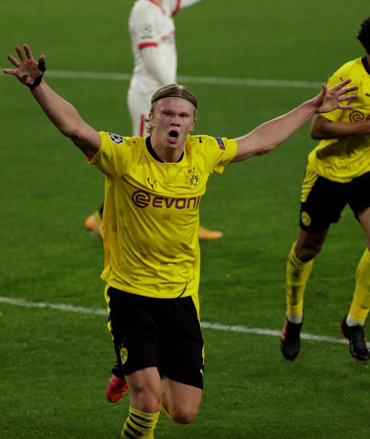 汇报会堂的 汇报会堂的